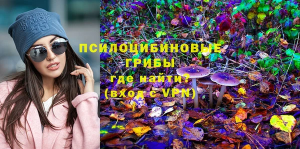 apvp Алексеевка