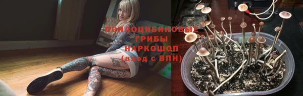 тгк Алексин