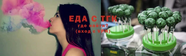 тгк Алексин