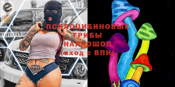 тгк Алексин