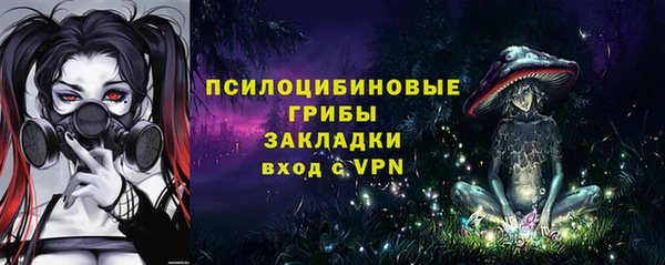 apvp Алексеевка