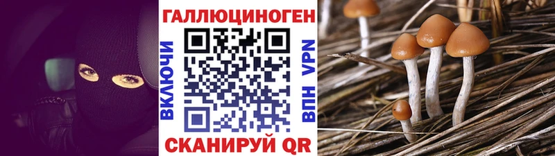 Псилоцибиновые грибы Psilocybine cubensis  Бирск 
